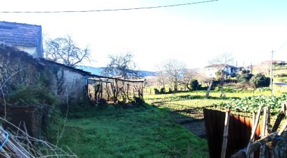 Ferme T2 à Coura de 1 821 m²