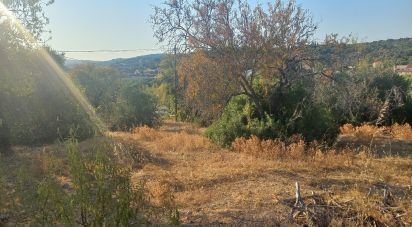 Terrain à Loulé (São Clemente) de 9 732 m²