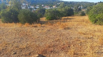 Terrain à Loulé (São Clemente) de 9 732 m²