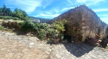 Pavilion T0 in Lamas e Cercal of 80 m²