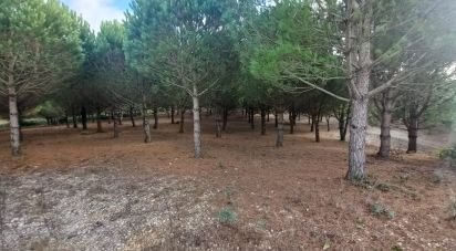 Building plot in Lamas e Cercal of 7,040 m²