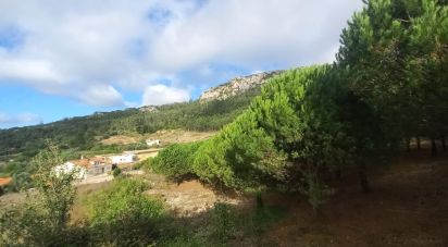 Building plot in Lamas e Cercal of 7,040 m²