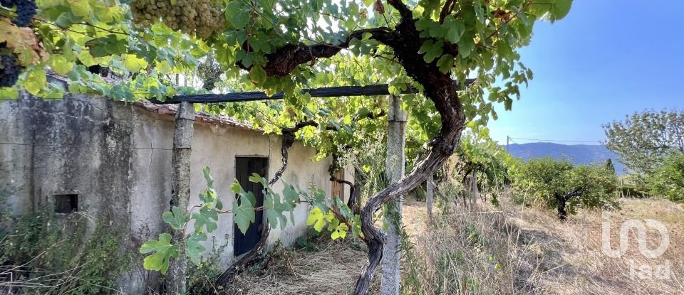 Ferme T5 à Anreade e São Romão de Aregos de 340 m²