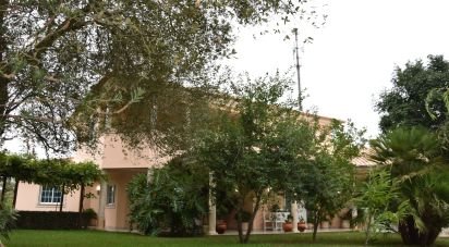 Maison rustique T4 à Caxarias de 458 m²