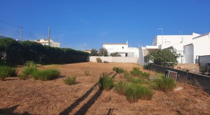 Terrain à Montenegro de 780 m²