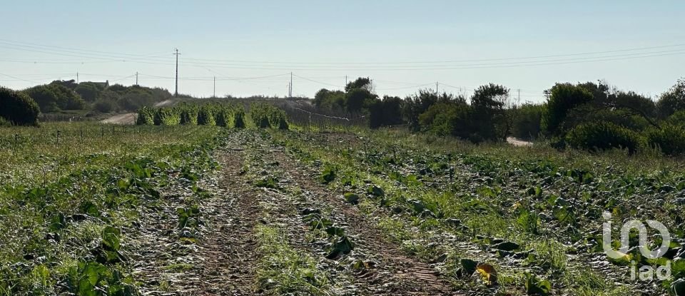 Terreno em Ferrel de 13 640 m²