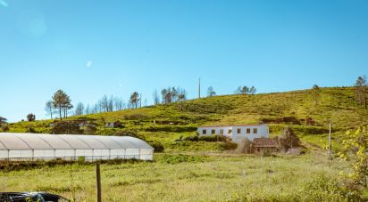 Terrain à Mexilhoeira Grande de 105 480 m²