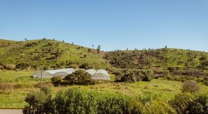 Land in Mexilhoeira Grande of 105,480 m²