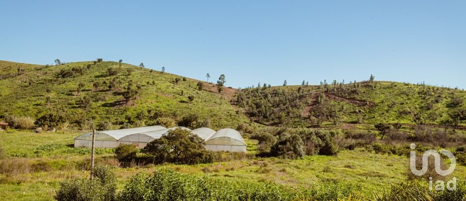 Terrain à Mexilhoeira Grande de 105 480 m²