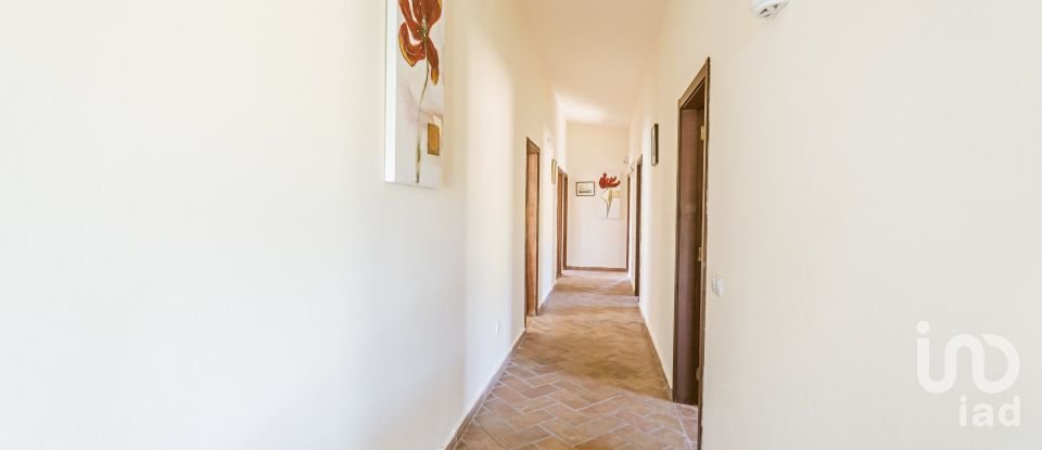 Terrain à Mexilhoeira Grande de 105 480 m²