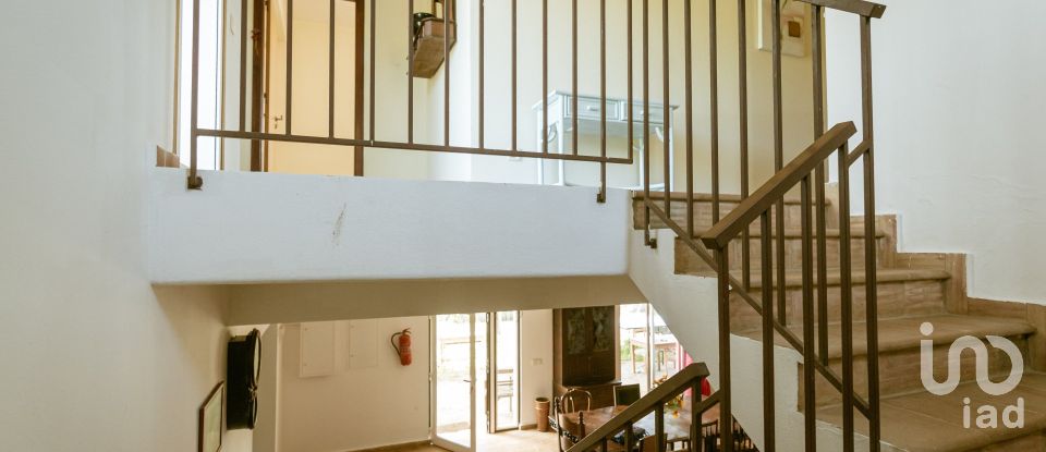 Terrain à Mexilhoeira Grande de 105 480 m²