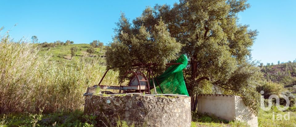 Terrain à Mexilhoeira Grande de 105 480 m²