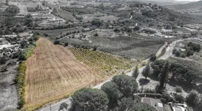 Terrain à bâtir à Carnota de 15 793 m²