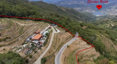 Ferme T6 à Anreade e São Romão de Aregos de 400 m²