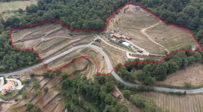 Ferme T6 à Anreade e São Romão de Aregos de 400 m²