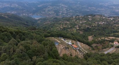 Ferme T6 à Anreade e São Romão de Aregos de 400 m²