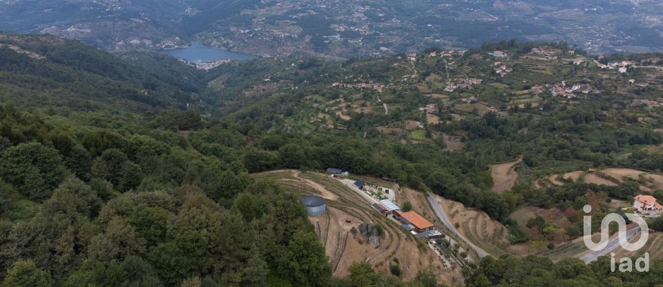 Quinta T6 em Anreade e São Romão de Aregos de 400 m²