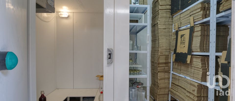 Quinta T6 em Anreade e São Romão de Aregos de 400 m²