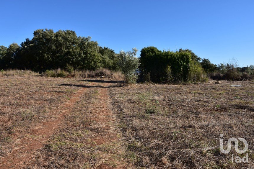 Terreno urbano em Areias e Pias de 8 120 m²