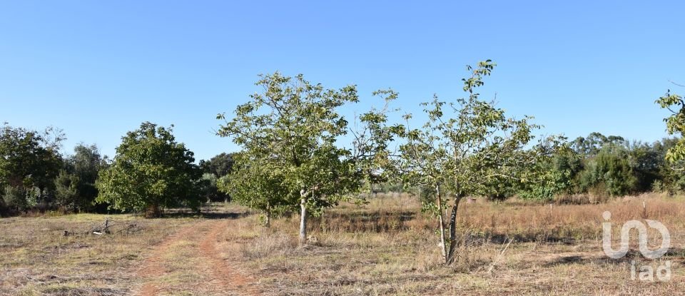 Terreno urbano em Areias e Pias de 8 120 m²