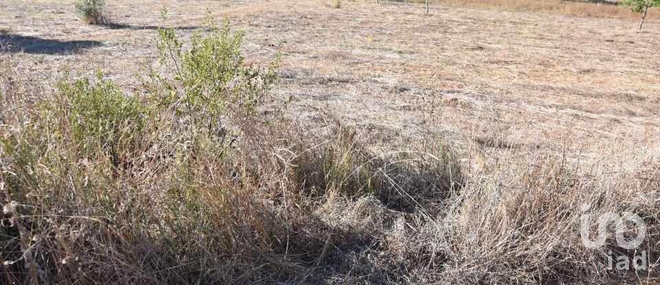 Terreno urbano em Areias e Pias de 8 120 m²