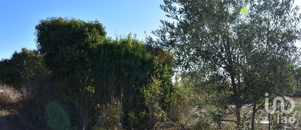 Terreno urbano em Areias e Pias de 8 120 m²