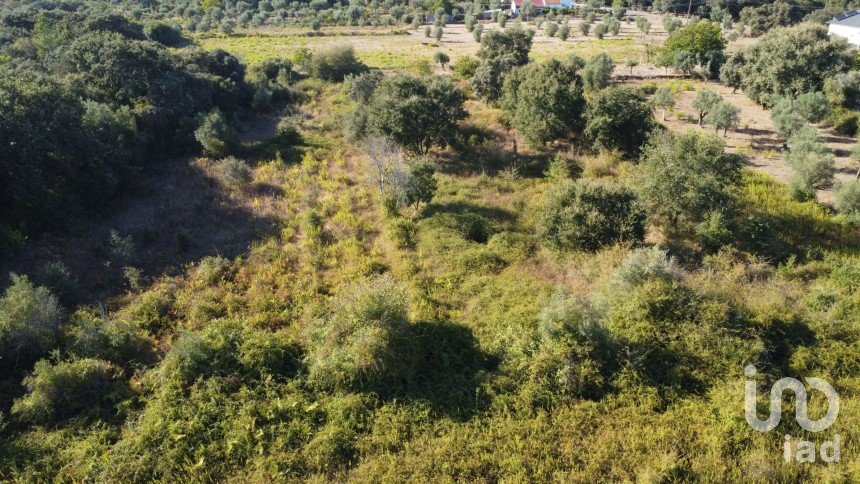 Land in Areias e Pias of 1,850 m²