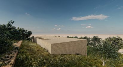 Building plot in Quarteira of 11,167 m²