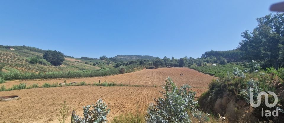 Terreno em Azueira e Sobral da Abelheira de 26 562 m²