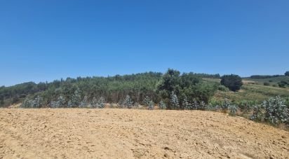 Terrain à Azueira e Sobral da Abelheira de 26 562 m²