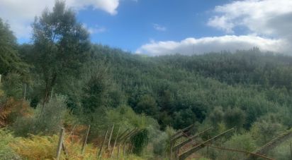 Terreno urbano em Pedrógão Grande de 2 110 m²