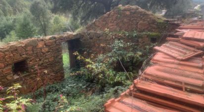 Terreno urbano em Pedrógão Grande de 2 110 m²