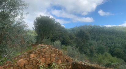 Terreno urbano em Pedrógão Grande de 2 110 m²