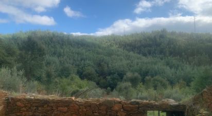 Terreno urbano em Pedrógão Grande de 2 110 m²