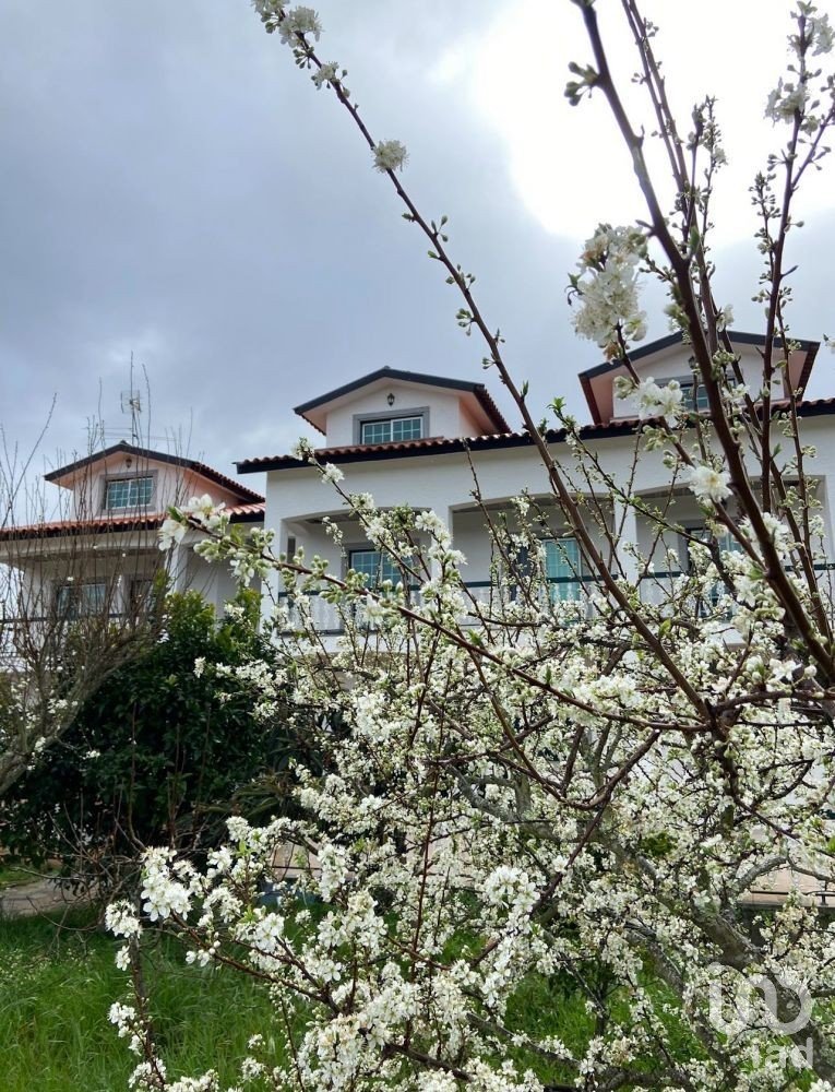 Bâtiment à Espariz e Sinde de 799 m²