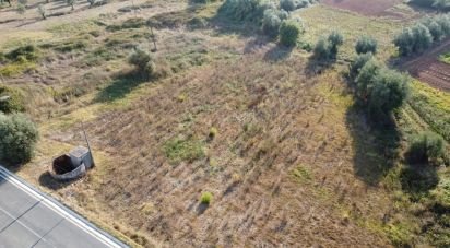 Terrain à bâtir à Areias e Pias de 640 m²