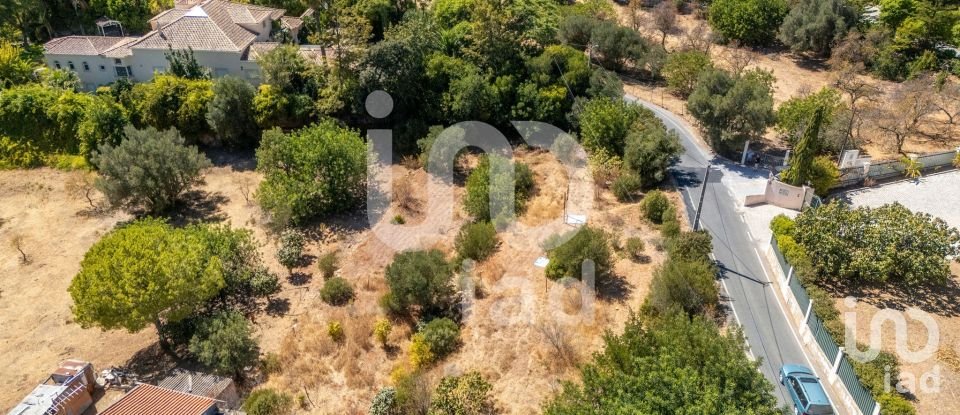 Land in Loulé (São Clemente) of 888 m²