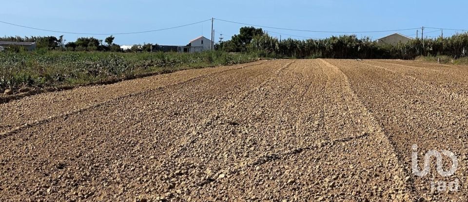 Terreno em Atouguia da Baleia de 1 780 m²