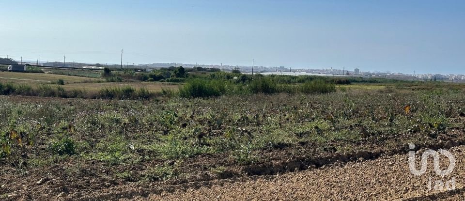 Terreno em Atouguia da Baleia de 1 780 m²