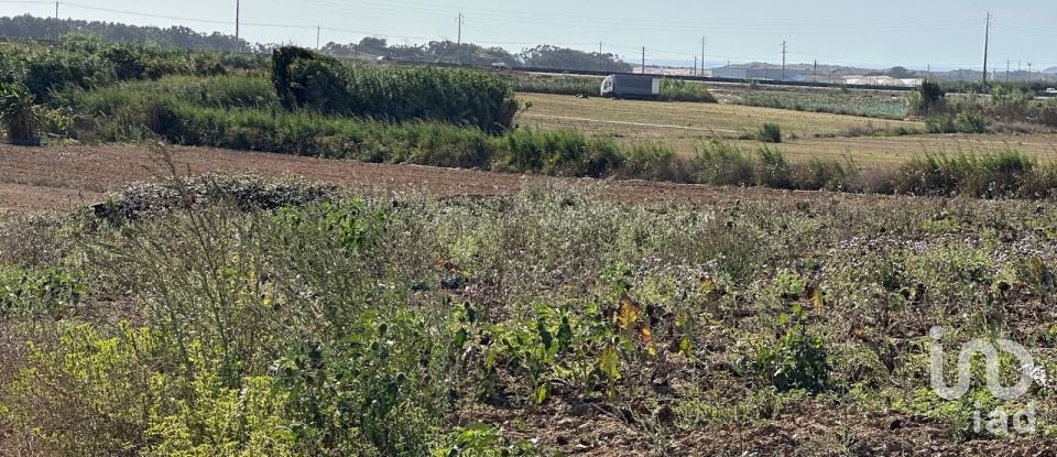 Terreno em Atouguia da Baleia de 1 780 m²