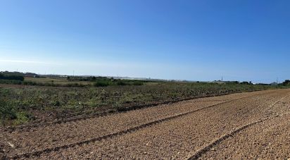 Terreno em Atouguia da Baleia de 1 780 m²