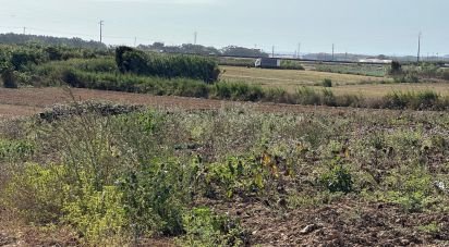 Terreno em Atouguia da Baleia de 1 780 m²