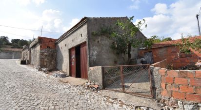 Maison de village T3 à Alvorge de 347 m²