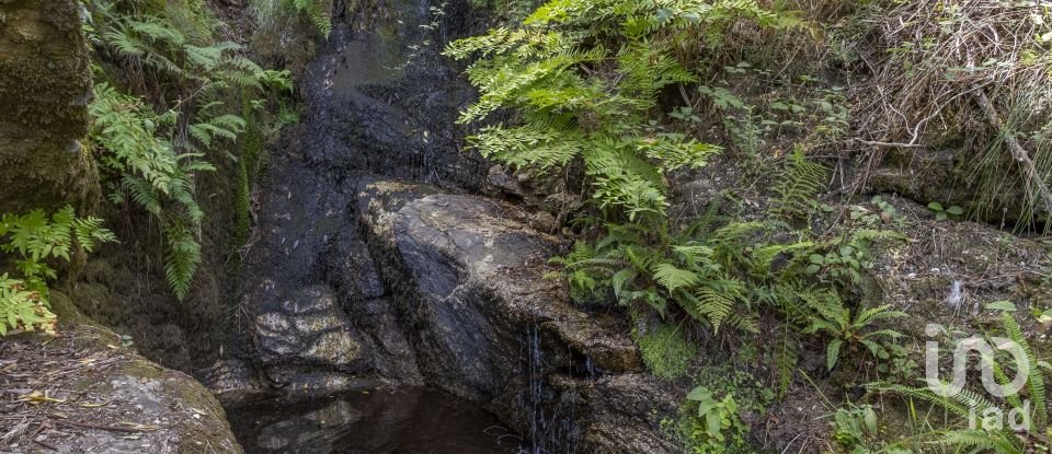 House T3 in Vilar da Veiga of 420 m²