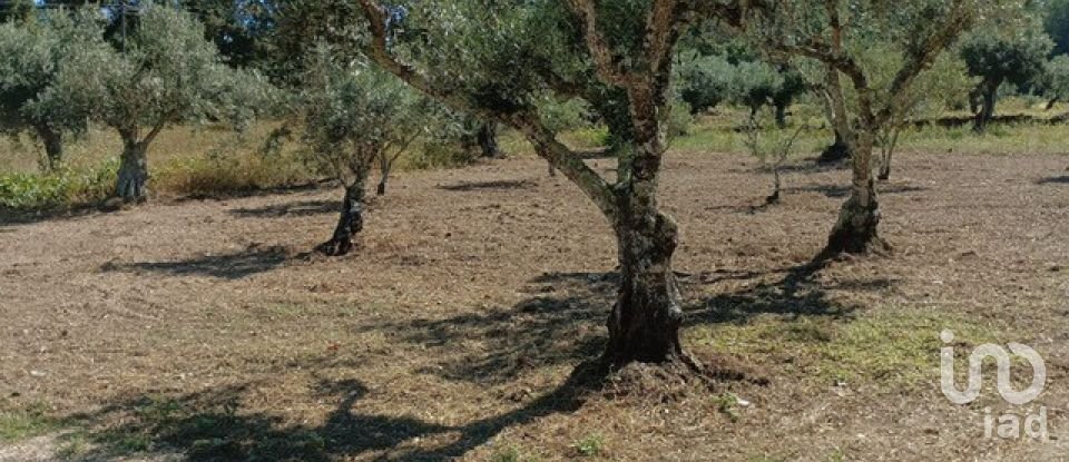 Farm T3 in Cumeada e Marmeleiro of 140 m²