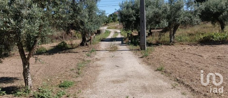 Farm T3 in Cumeada e Marmeleiro of 140 m²