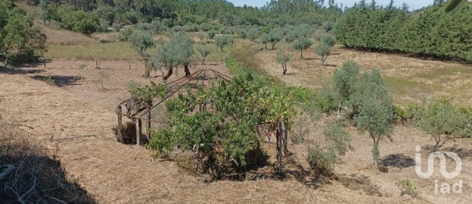 Farm T3 in Cumeada e Marmeleiro of 140 m²