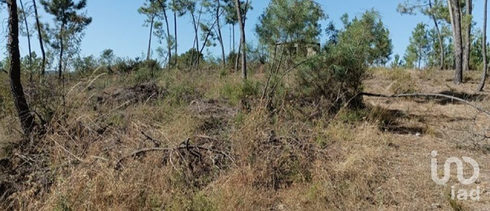 Farm T3 in Cumeada e Marmeleiro of 140 m²