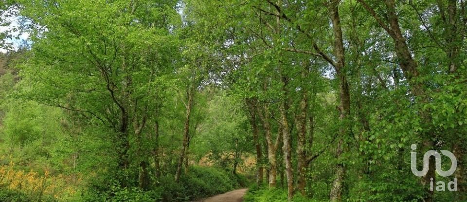 Land in Covas of 700 m²