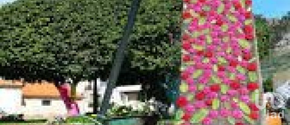 Land in Covas of 700 m²